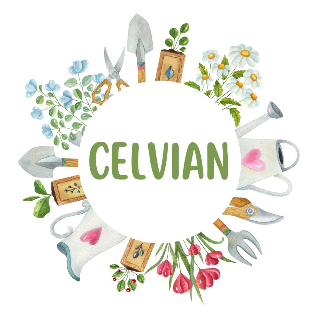 Celvian